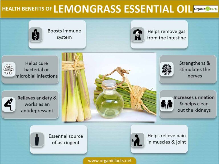 Beyond Mosquitoes: The Unexpected Health Odyssey of Lemongrass Oil