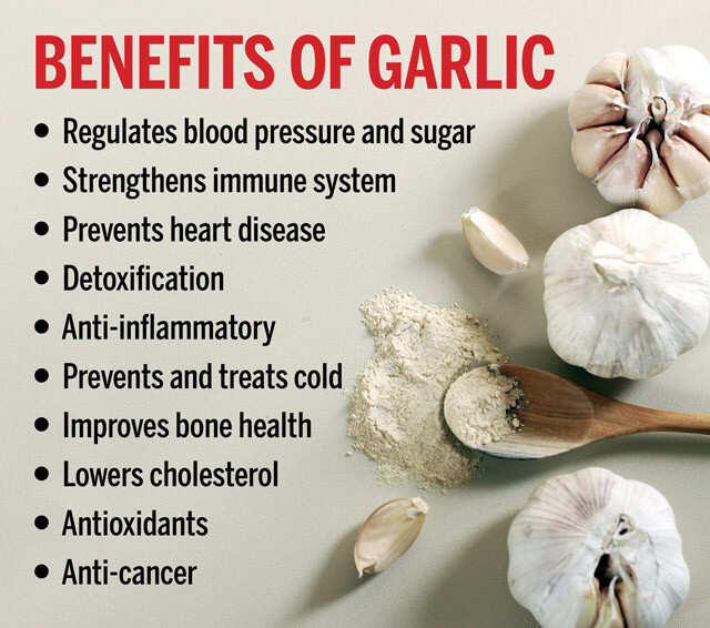 Boost Your Immunity: The Garlic Advantage – A Timeless Alchemist in Our Defense