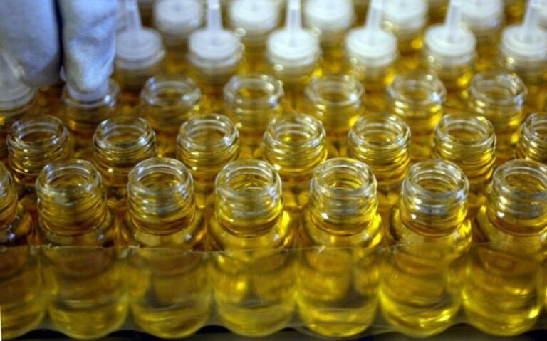 Lemongrass: Nature’s Secret Weapon Against Bacteria and Fungi