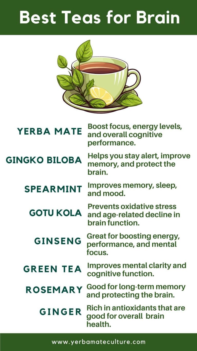 The Ancient Elixir and the Modern Mind: Unraveling Green Tea’s Profound Impact on Cognitive Function and Brain Health