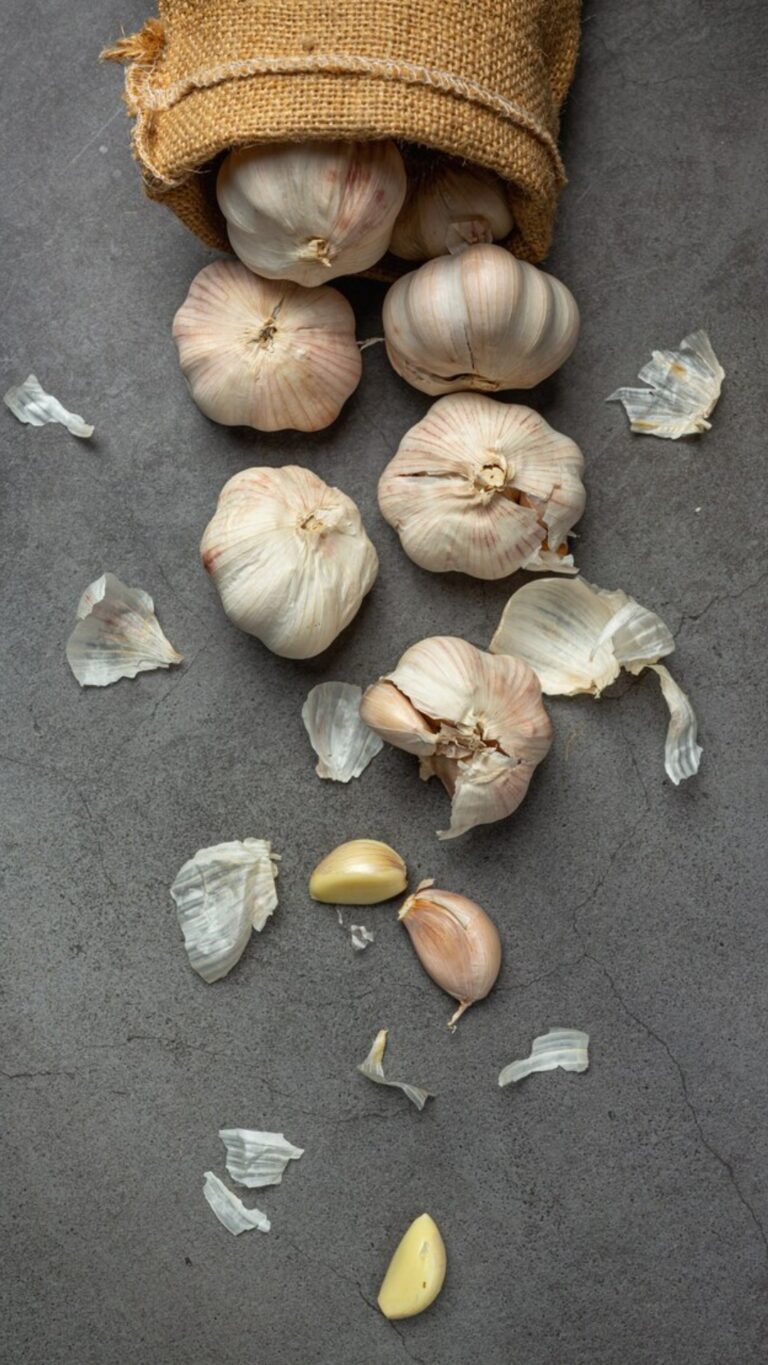 The Humble Allicin: Unearthing the Ancient Power of Garlic in a Modern World