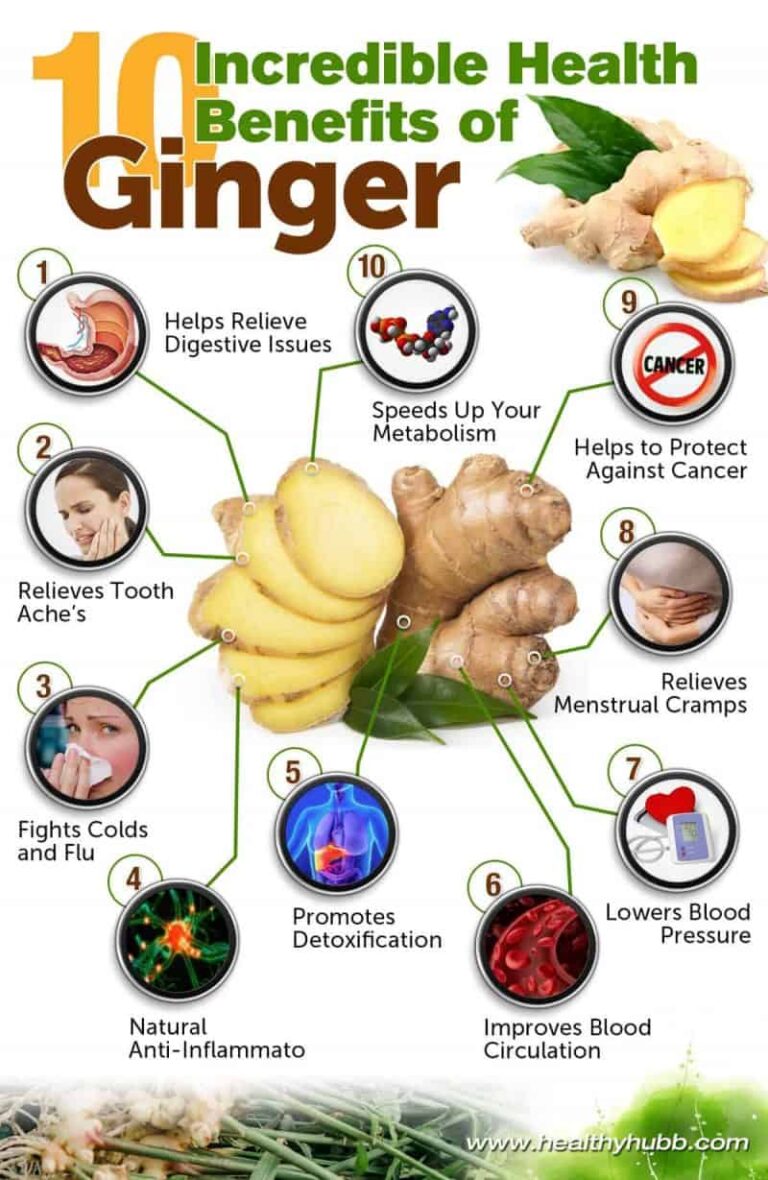 The Incredible Health Benefits of Ginger You Need to Know: A Journey Through Time and Science