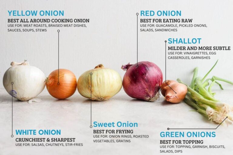 The Kitchen Cure: Unpeeling the Layers of the Humble Onion for Better Sleep, Digestion, and a Life Re-Enchanted