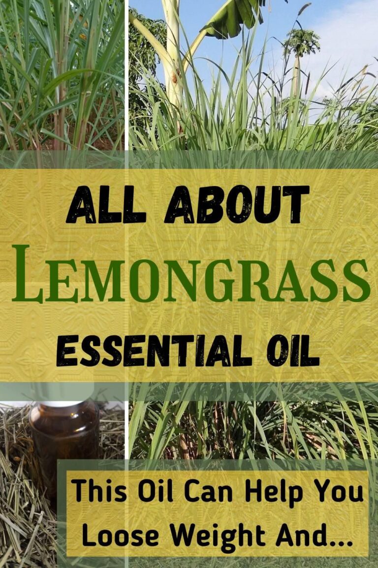 The Scent of Wellness: Unveiling the Ancient Secrets of Lemongrass Essential Oil for Modern Health