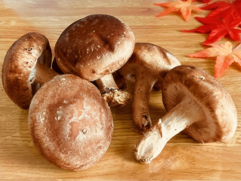 A Fungal Friend: Integrating Shiitake Mushrooms into a Plant-Based Diet