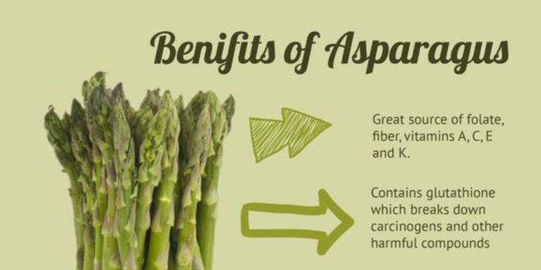 Beyond the Plate: 7 Reasons Asparagus is a Nutritional Powerhouse