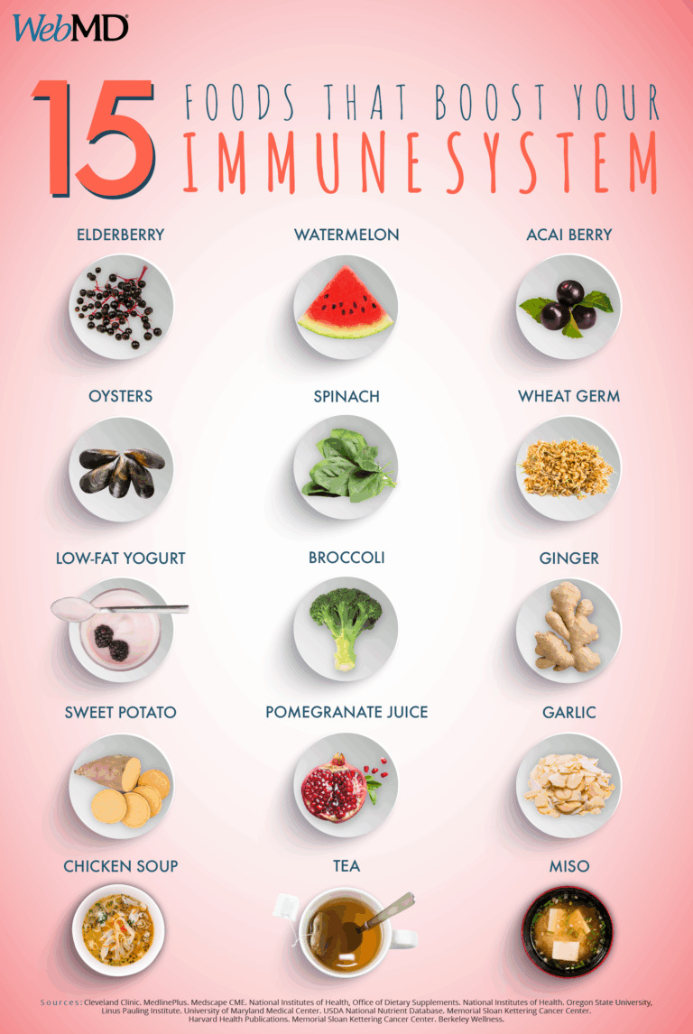 Building a Better Immune System: Essential Foods for Defense – A Journey to Resilience
