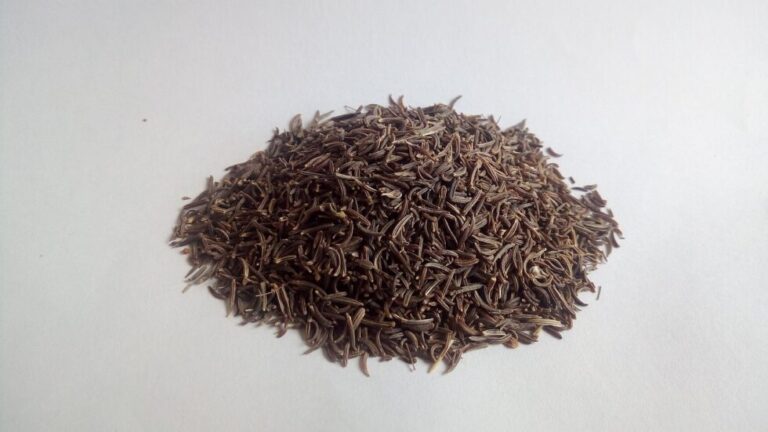 Can Cumin Lower Your Cholesterol? The Research Revealed
