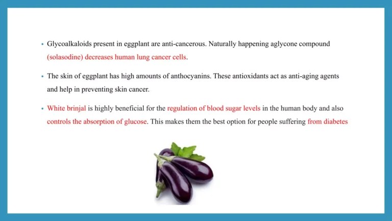 Fighting Free Radicals: The Cancer-Protective Compounds in Eggplant Skin