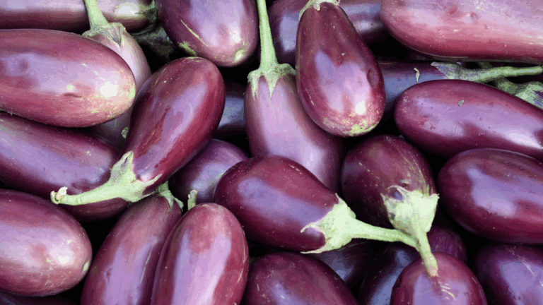 From Antioxidants to Fiber: Your Guide to Eggplant’s Health Perks