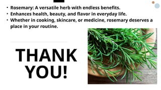 From Plate to Prescription: Why Rosemary Deserves a Spot in Your Wellness Routine