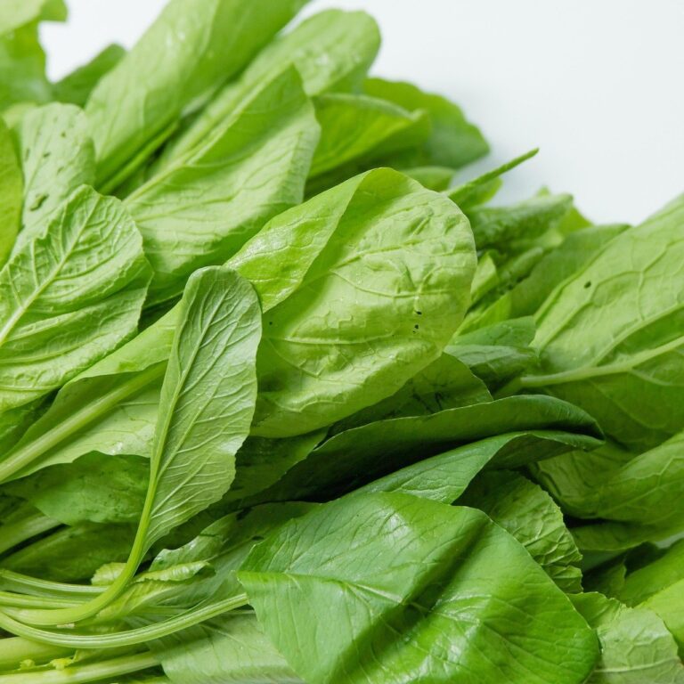 From Popeye to Powerhouse: Unlocking the Incredible Health Benefits of Spinach