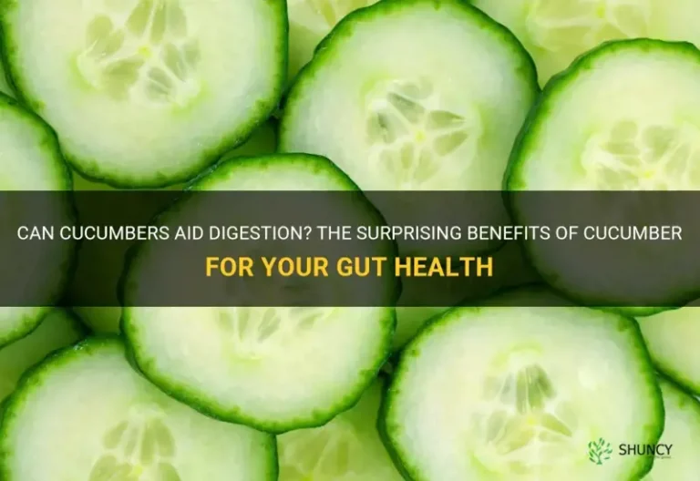 Gut Health Heroes: How Cucumbers Aid Digestion and Beat Bloating – A Deep Dive into Nature’s Soothing Elixir