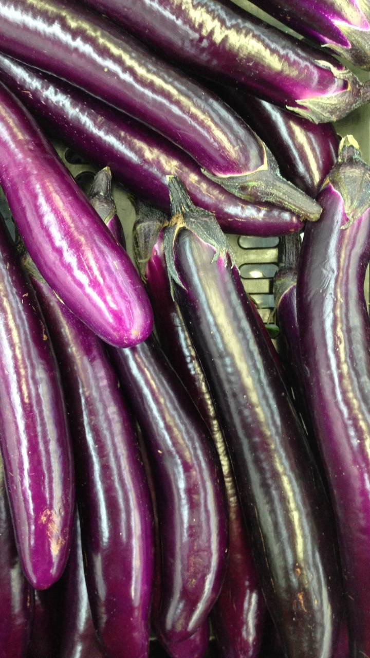 Heart Health & Beyond: How Eggplant Can Lower Cholesterol and Blood Pressure – A Culinary Journey to Wellness