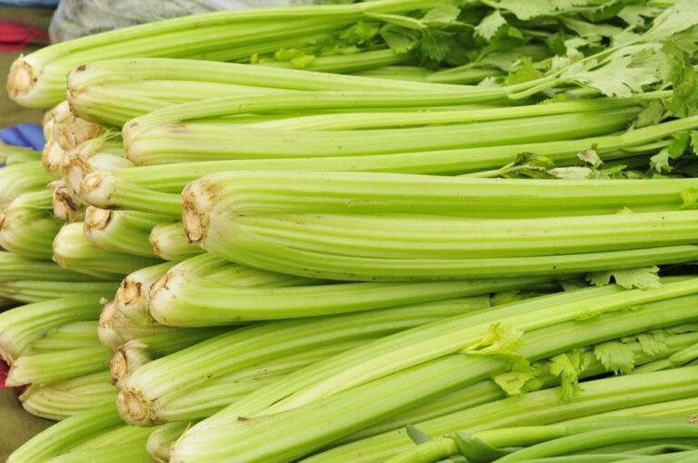 Keep Your Ticker Healthy: Celery’s Role in Natural Blood Pressure Management