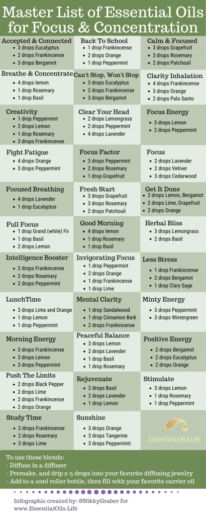 Mind Over Matter: The Verdant Whisper of Rosemary and the Architecture of Focus