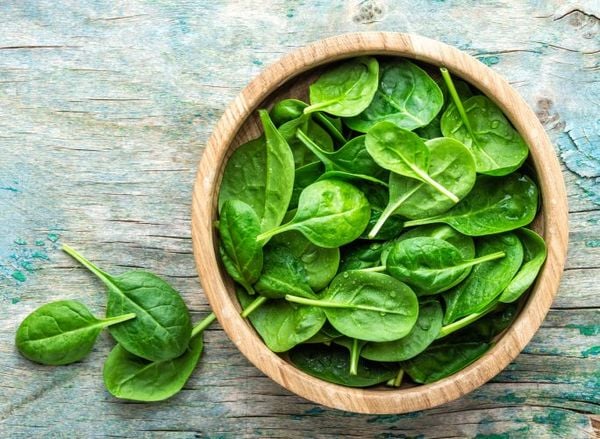 Nature’s Blood Pressure Regulator: The Nitrate Secret of Spinach