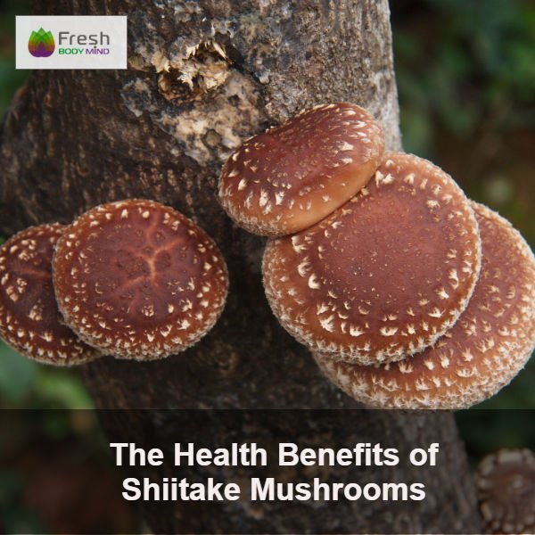 Shiitake Secrets: Unlocking the Amazing Health Benefits of This Popular Mushroom