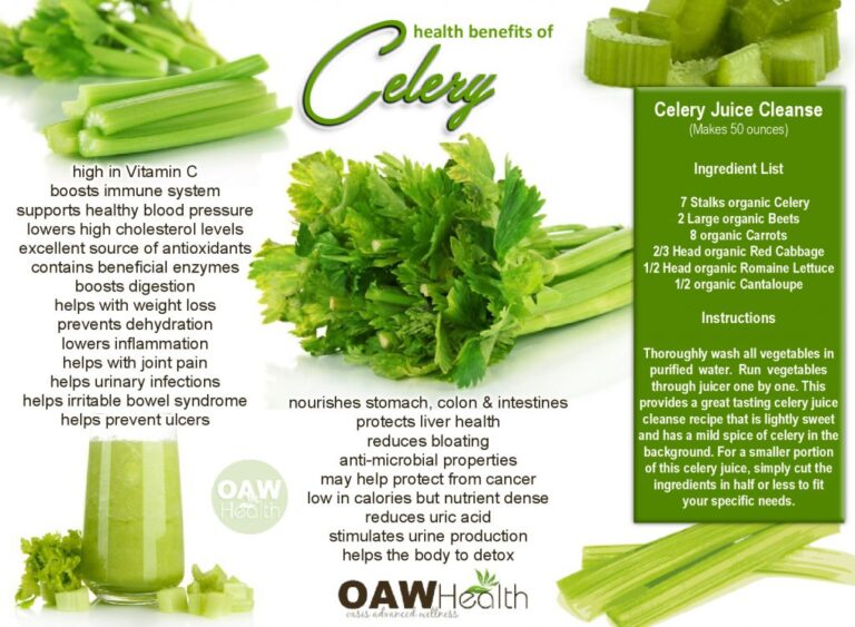 Soothe Your Gut: How Celery Aids Digestion and Reduces Bloating – A Journey to Inner Harmony