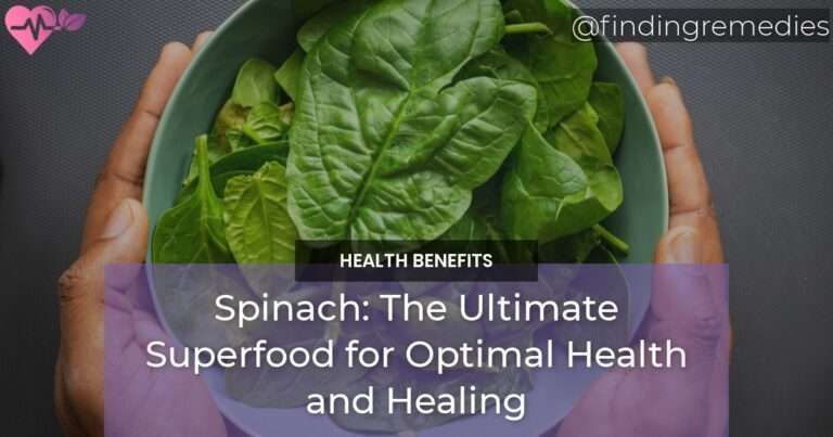 Spinach: The Ultimate Superfood? 12 Amazing Health Benefits You Need to Know