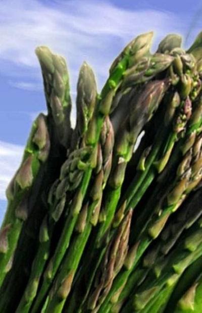 The Ancient Medicine: How Asparagus Has Been Used for Centuries to Heal