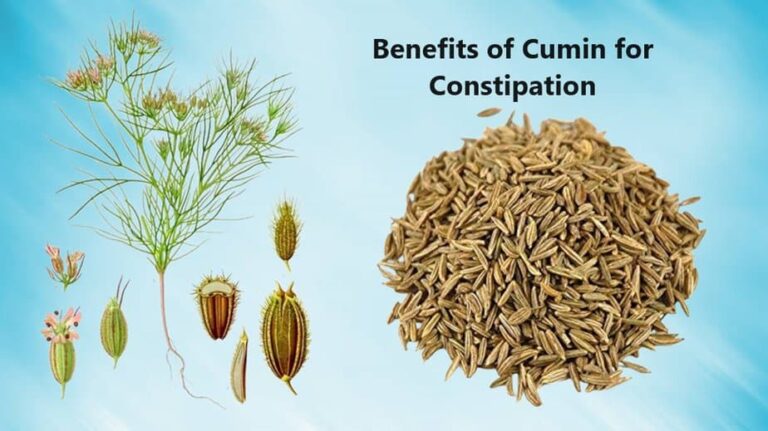 The Digestive Powerhouse: Why Cumin is Your Stomach’s Best Friend