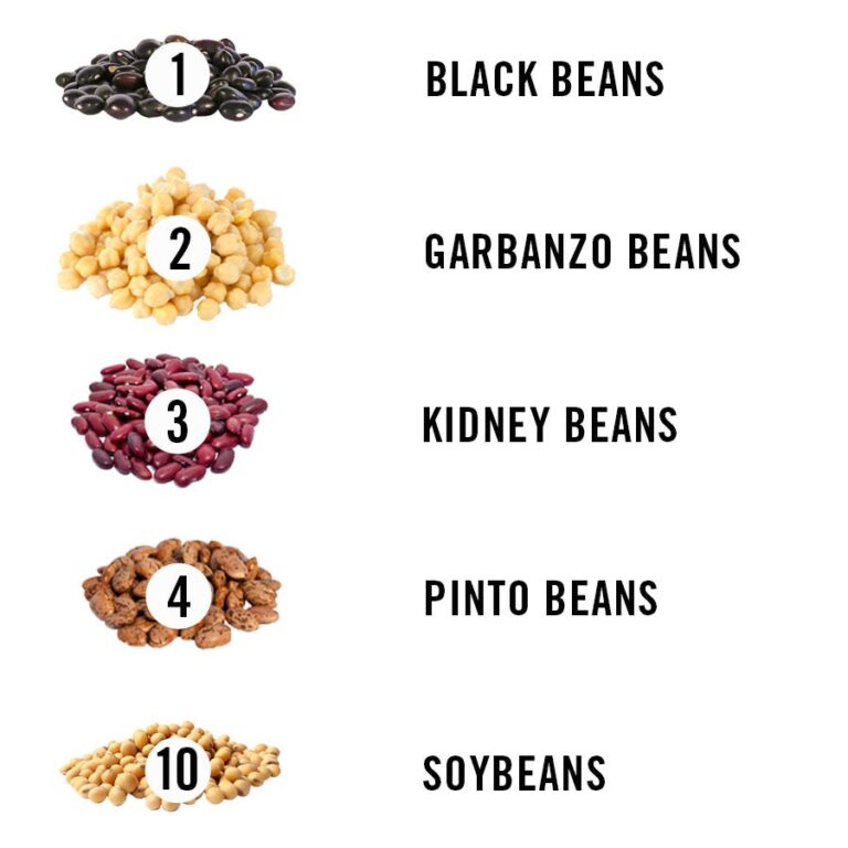 The Earth’s Unsung Heroes: Which Beans Deliver the Biggest Fiber and Protein Punch