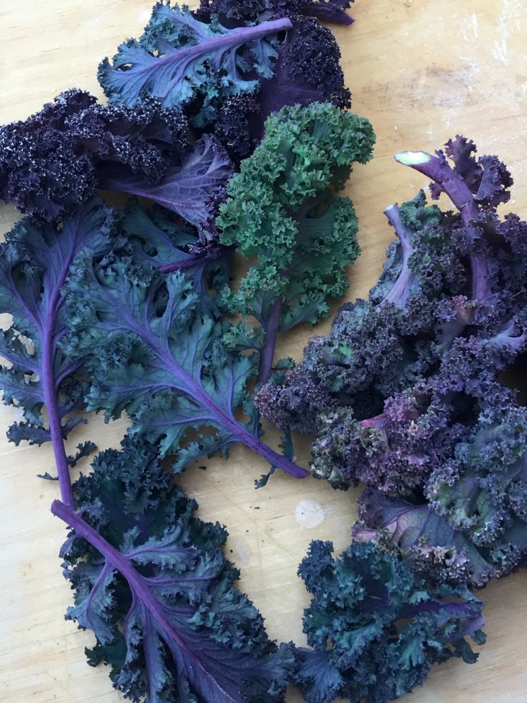 The Emerald Alchemy: Unlocking the Glow From Within with Kale’s Transformative Nutrients