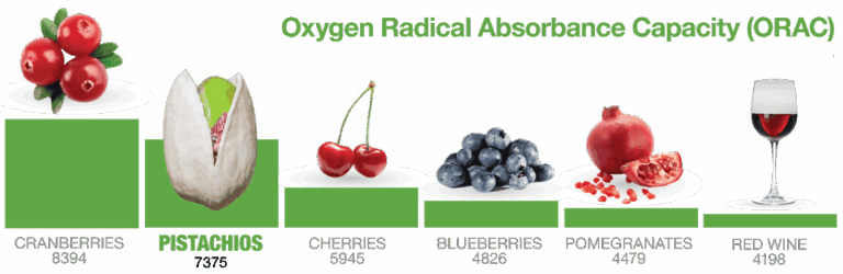 The Emerald Spear: Unveiling Asparagus as a Sentinel Against Free Radicals and Inflammation