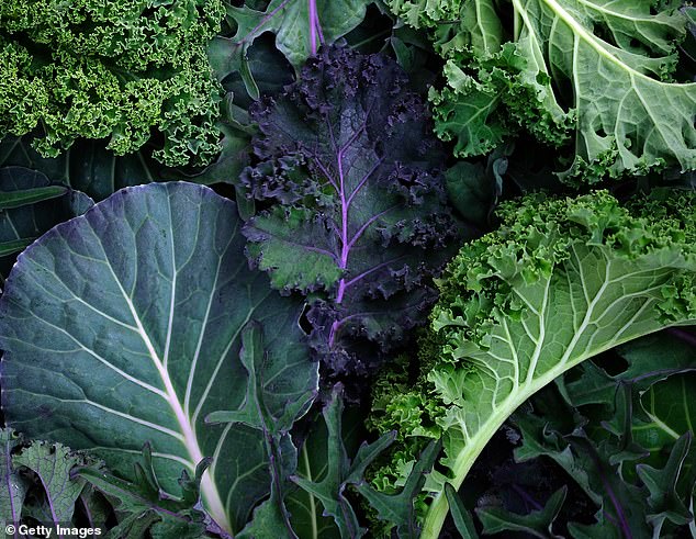 The Kale Revolution: Why Doctors and Dietitians Love This Leafy Green