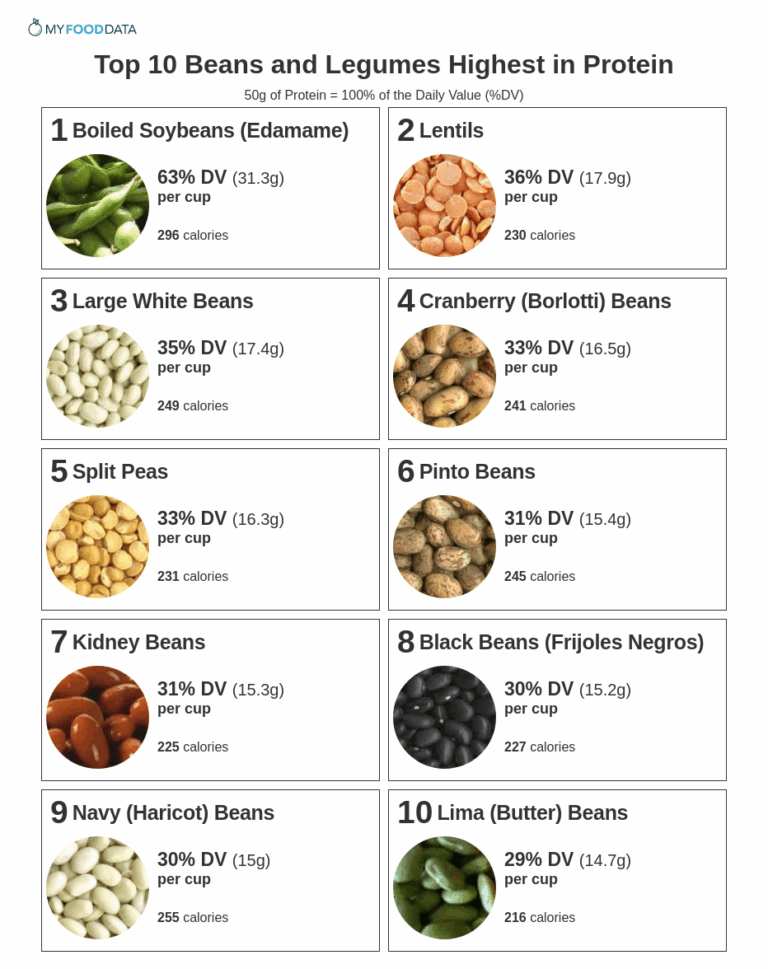 The Legume Grand Prix: Unveiling the Bean Power Rankings for Fiber and Protein Supremacy