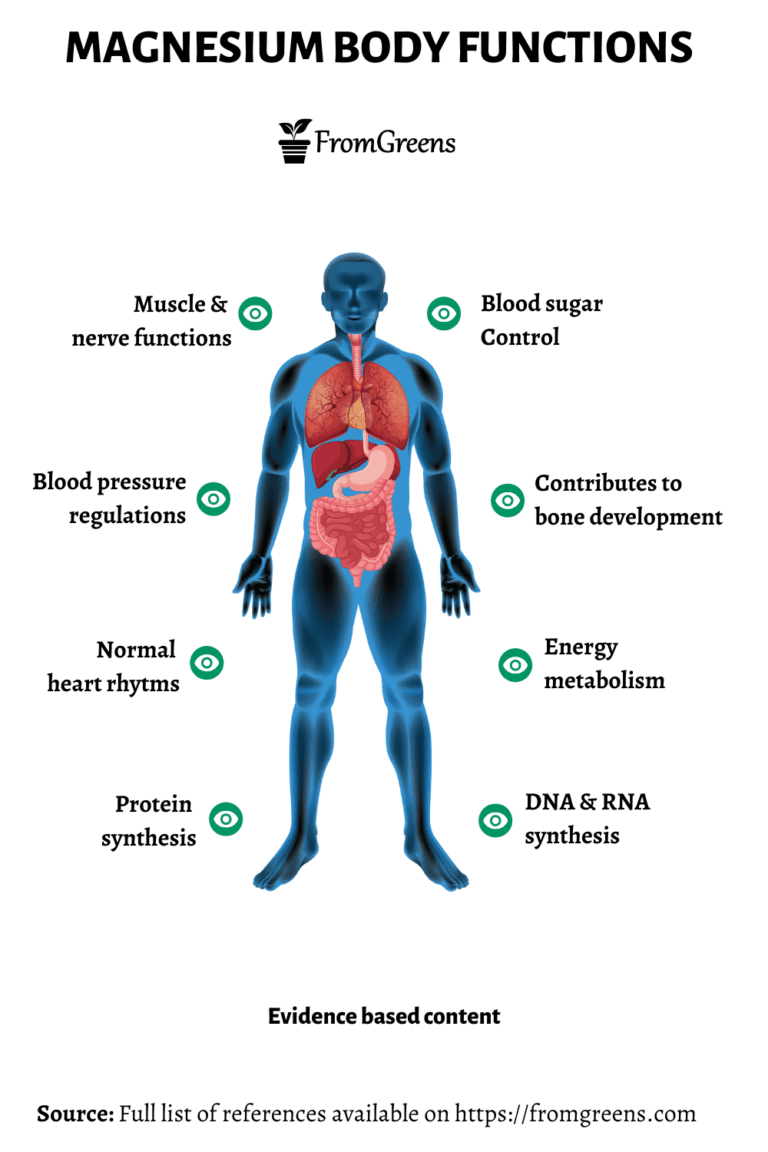 The Power of 300+: Magnesium’s Role as a Master Co-factor in Your Body’s Health