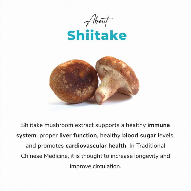 The Silent Fire Within: Unearthing Shiitake’s Anti-Inflammatory Legacy
