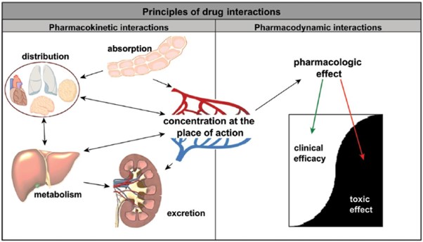 The Spacing Solution: How to Master Zinc for Optimal Absorption and Interaction Avoidance