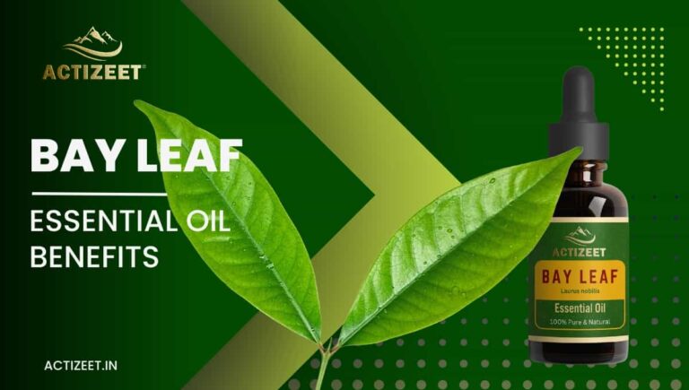 The Ultimate Guide to Bay Leaf Essential Oil: Unveiling Ancient Wisdom in a Bottle (and How to Use It)