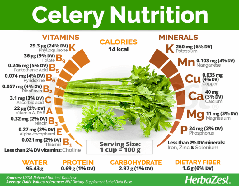 The Unassuming Architect of Wellness: Unpacking the Key Vitamins and Nutrients in Celery