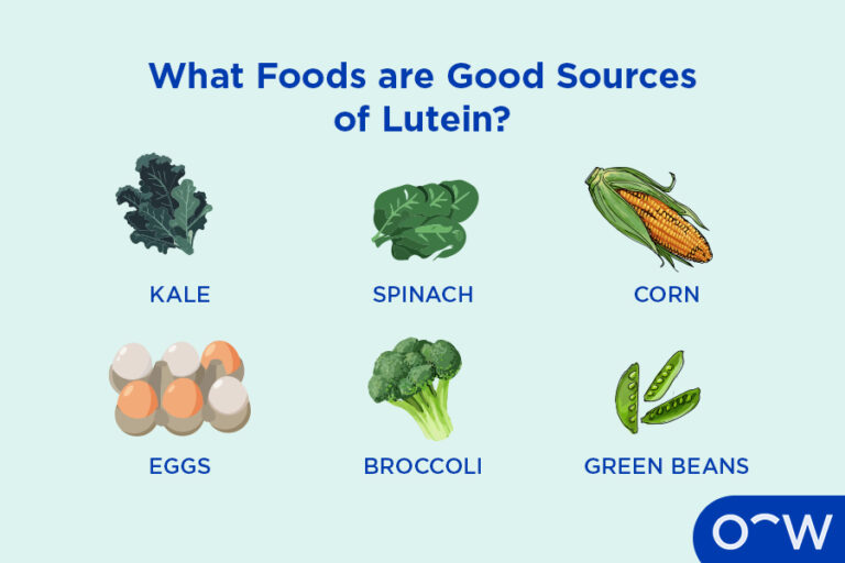 Visionary Veggie: The Emerald Guardian of Sight – The Eye Health Benefits of Lutein and Zeaxanthin in Spinach